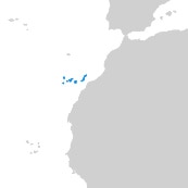 Canary Islands VFR Annual Services - Digital Charts - 4 Mobile Devices