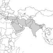 Middle East and South Asia 