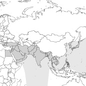Middle East