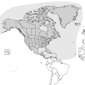 North America
