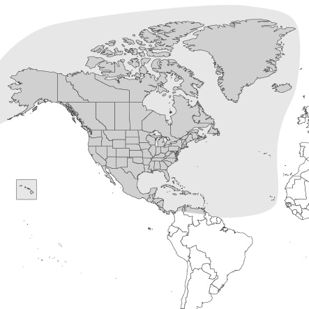https://shop.jeppesen.com/images///coverages/n_amr-443x443.jpg